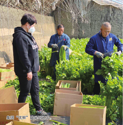 nangong28·(中国区)官方网站